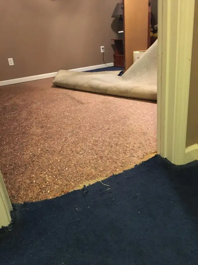 Carpet pad removal revealing water damage during Drying & Dehumidification in Laurel